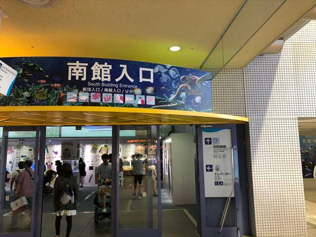 名古屋港水族館のウミガメエリアを散策 赤ちゃん生まれた